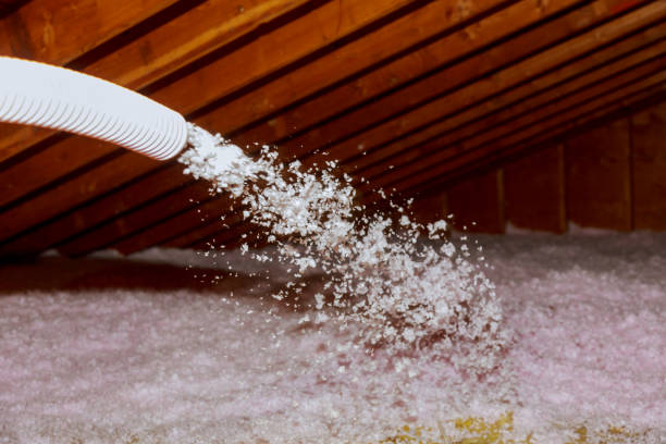 Best Insulation Maintenance and Repair in Fairbanks Ranch, CA