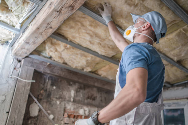 Best Insulation Maintenance and Repair in Fairbanks Ranch, CA